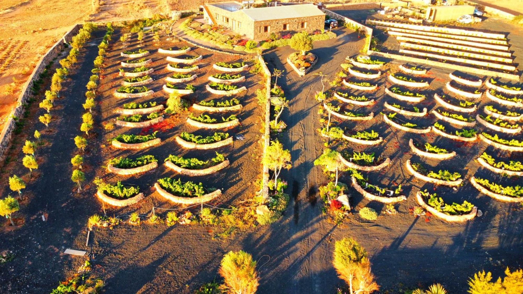 Agriturismo El Bounty1 Puerto del Rosario  Exterior photo